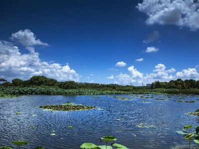 抖音月付套现风险大！安出掌柜提醒合规用款更安心