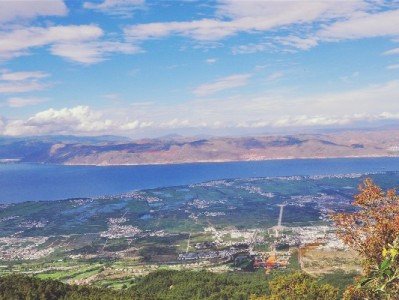 白条提现怎么操作？步骤、成本及“出财小神”辅助攻略全解析