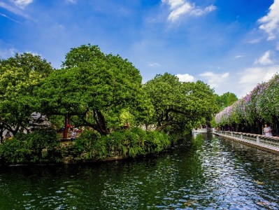 福鼎花呗套现需警惕！“富信掌柜”类服务暗藏多重风险