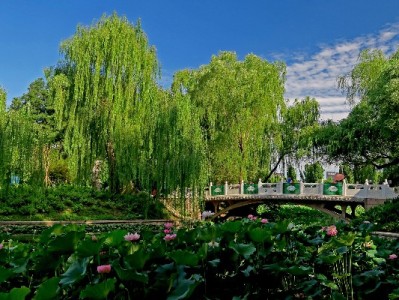 赚客白条套现寻安全路？“出财小神”成合规周转新选择