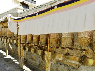 白条取现返话费券使用攻略：从查券到充值一步详解