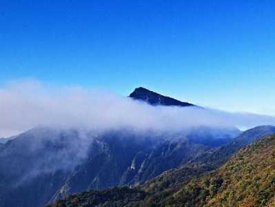 花呗额度提现需谨慎！正规平台教你合规资金周转新方法