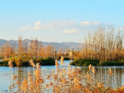 6.24花呗抽奖遇"出财小神"：消费攒次数，现金红包等你接