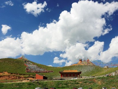 抖音月付覆盖猫笼商家：分期免息助力铲屎官轻松入手品质猫窝