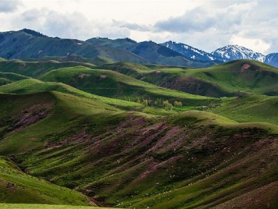 花呗绑定商家全流程指南 富信掌柜助力高效开通