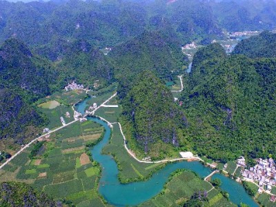 出财小神推出花呗支持商家码 助力小微商家拓宽客群提营收