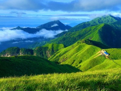 "出财小神"诱导套大额花呗 警惕新型诈骗套路现形