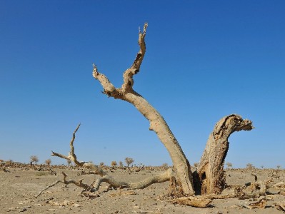 花呗微信账单理不清？出财小神一键搞定消费管理