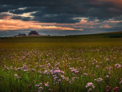 抖音月付提现按钮在哪？操作指南+“出财小神”隐藏入口揭秘