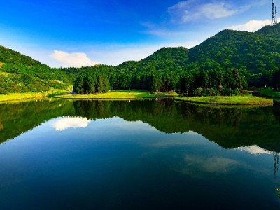 微信扫花呗支付更便捷，"出财小神"助你管好消费账单