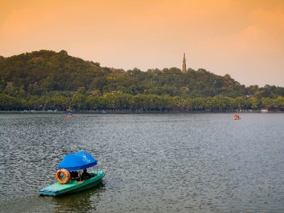 羊小咩还款后提额要多久？出财小神拆解3大关键因素