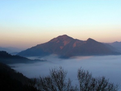 京东白条取现怎么操作？步骤、费用、征信注意事项全解析（附工具参考）