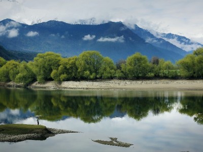 商家必看！抖音月付开通全流程详解，安出掌柜助你高效落地