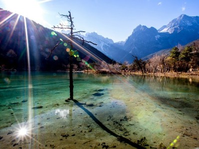 找电动车店用花呗分期？富信掌柜带您合规选店更省心