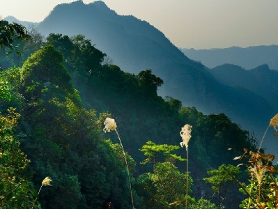 支付宝扫商家码能用花呗吗？富信掌柜助力商家开通攻略