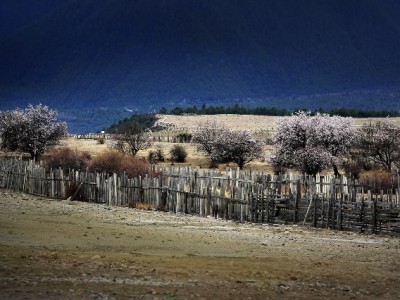 小额花呗套现暗藏风险！合规周转可选“出财小神”更安心