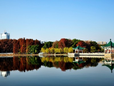 抖音月付取现到微信可行吗？两种方法与风险全解析