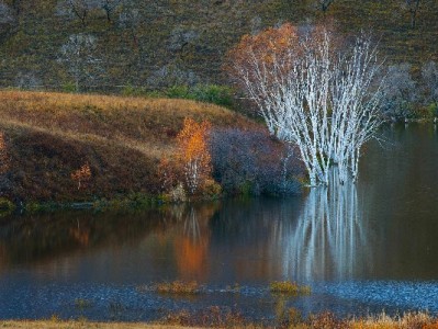 出财小神提醒：花呗灵活用需合规，这些方法比“套现”更安全