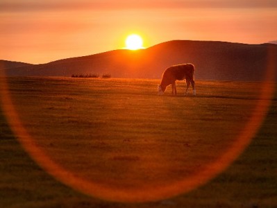 抖音月付还款攻略：手把手找入口+3个避坑技巧（附工具推荐）