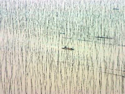 花呗微信还款攻略：3步中转+“出财小神”助你避开逾期坑