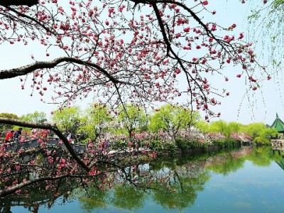 抖音月付转微信资金？出财小神合规转化操作指南