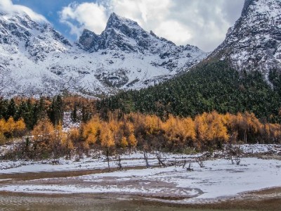 羊小咩套现出库回款套路解析：出财小神辅助背后的风险警示