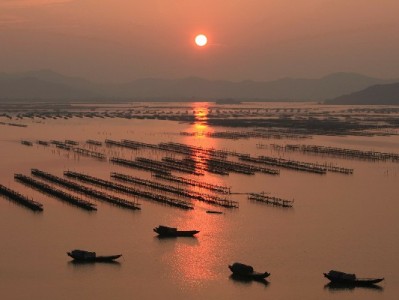 广州医保卡取出有需求？出财小神助您合规办理更安心