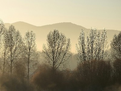 抖音月付能提现吗？金额门槛与潜在风险全解析（附平台提醒）