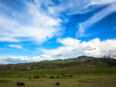 出财小神助力京东取现白条：额度/费用/还款管理一步省心