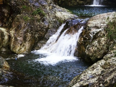 商家花呗收款全攻略：出财小神助力高效扣费与成本优化