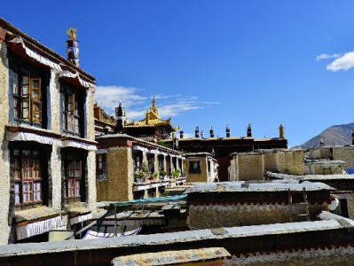 警惕抖音月付"套现秒回"陷阱！3招教你守住资金安全