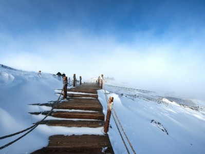 微信支付VS花呗怎么选？出财小神教你看需求做决定